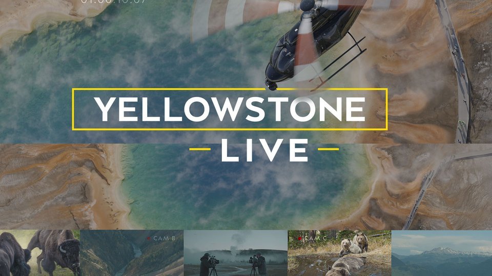 Yellowstone Live Nat Geo Series