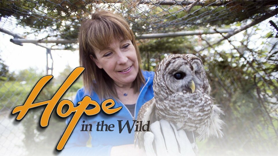 Hope in the Wild - CBS