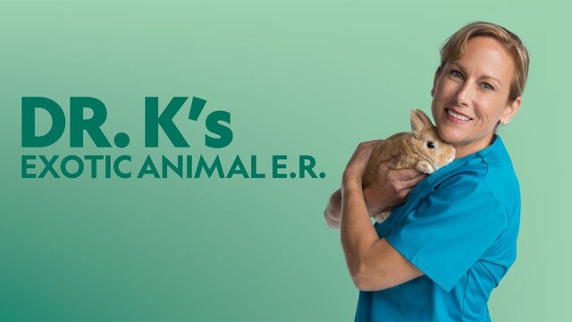 Dr. K's Exotic Animal ER key art