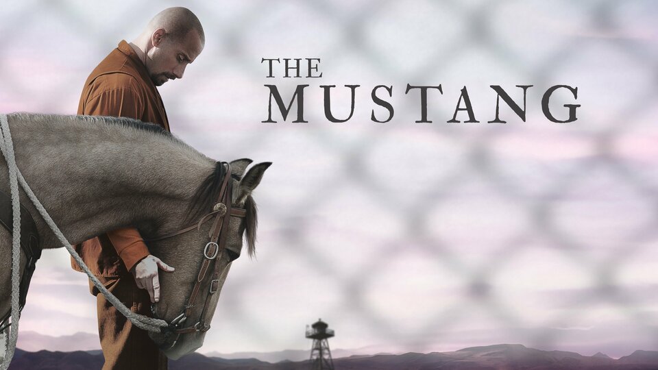 The Mustang - 