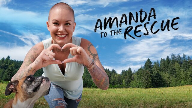 Amanda to the Rescue key art