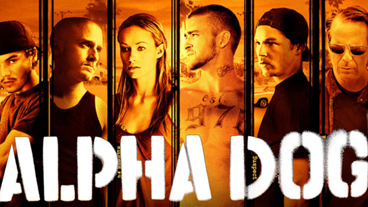 Alpha bachelor live discount streaming