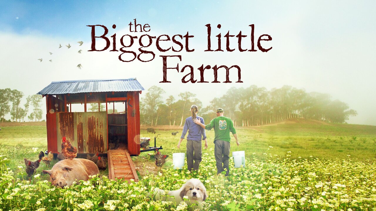 The Biggest Little Farm Documentary Where To Watch The Biggest Little Farm Documentary Where To Watch