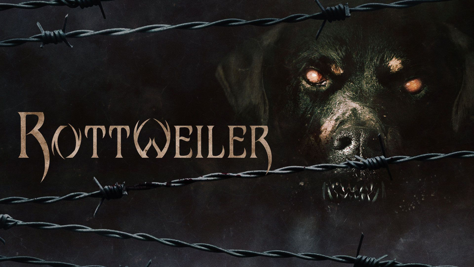 Rottweiler - 