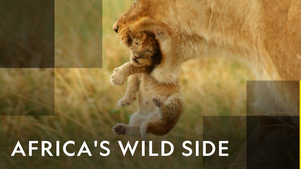 Africa's Wild Side - Nat Geo Wild