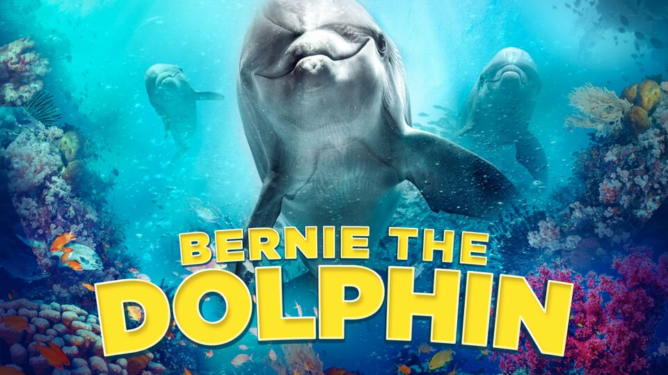 Bernie the Dolphin - 