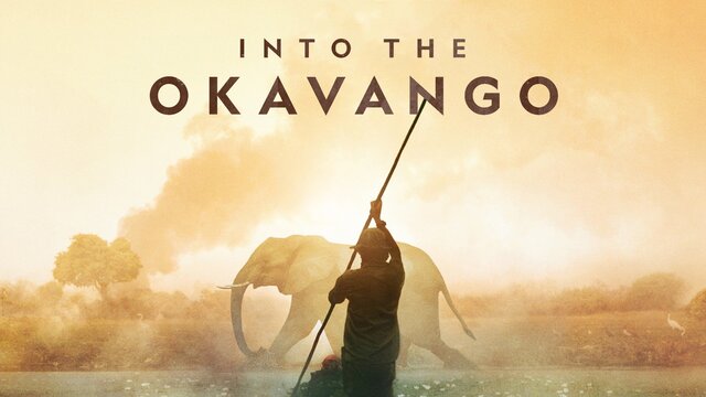 Into the Okavango key art