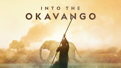 Into the Okavango - Nat Geo