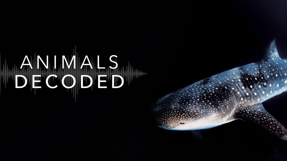 Animals Decoded - Smithsonian Channel