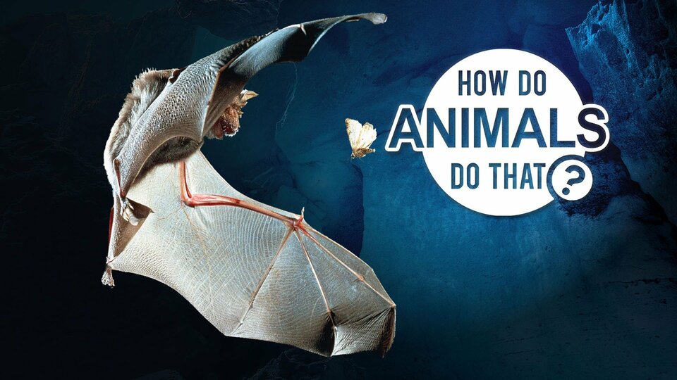 How Do Animals Do That? - Animal Planet