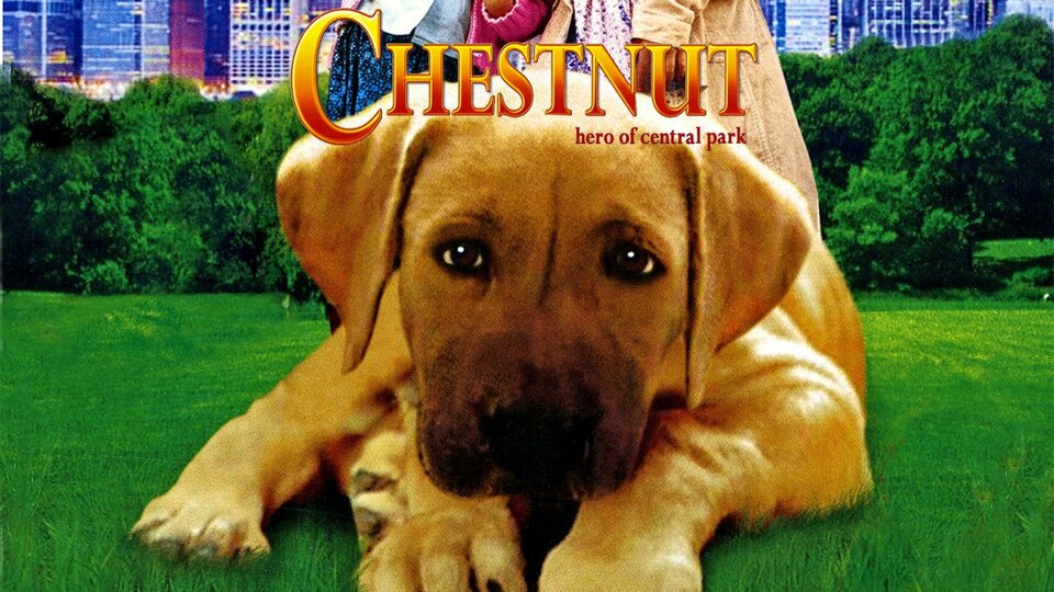 Chestnut: Hero of Central Park - 