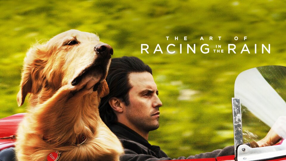 The Art of Racing in the Rain - 