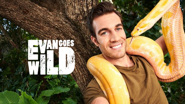 Evan Goes Wild key art