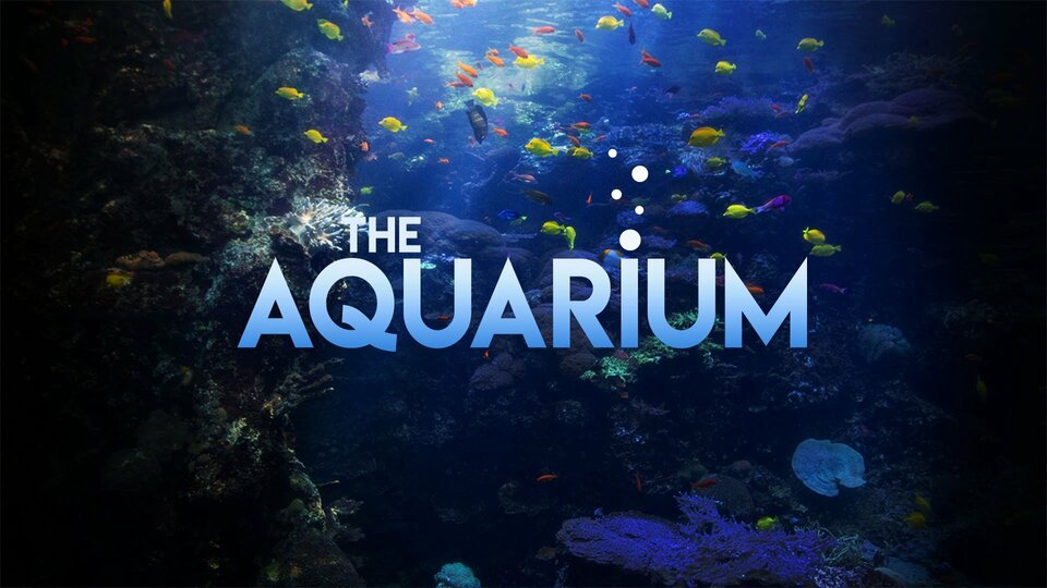 The Aquarium - Animal Planet