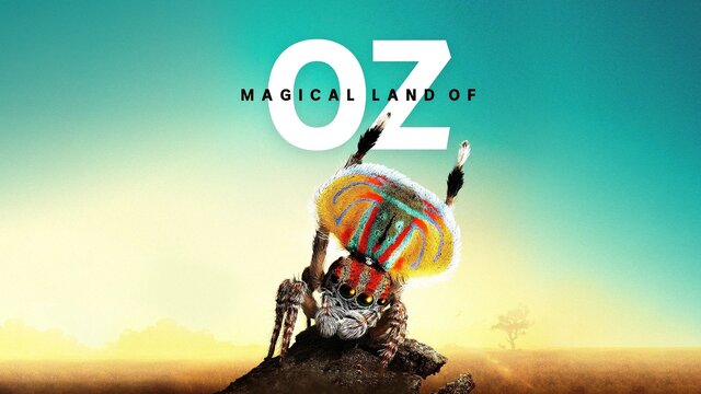 Magical Land of Oz key art