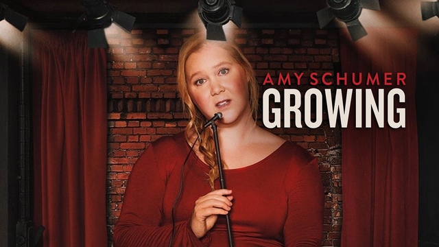 Amy Schumer Growing key art