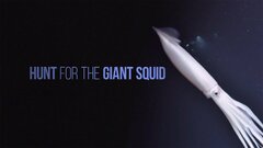 Hunt for the Giant Squid - Nat Geo Wild