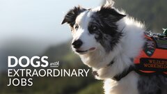 Dogs with Extraordinary Jobs - Smithsonian Channel