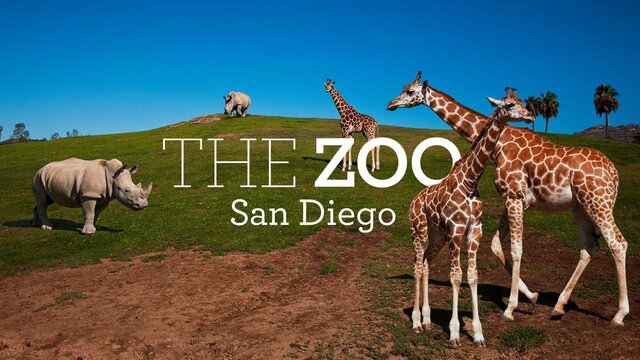 The Zoo: San Diego key art