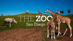 The Zoo: San Diego - Animal Planet