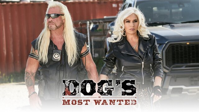 Dog's Most Wanted key art