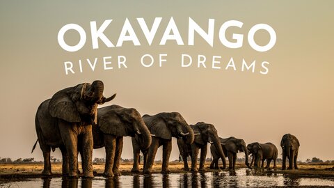 Okavango: River of Dreams