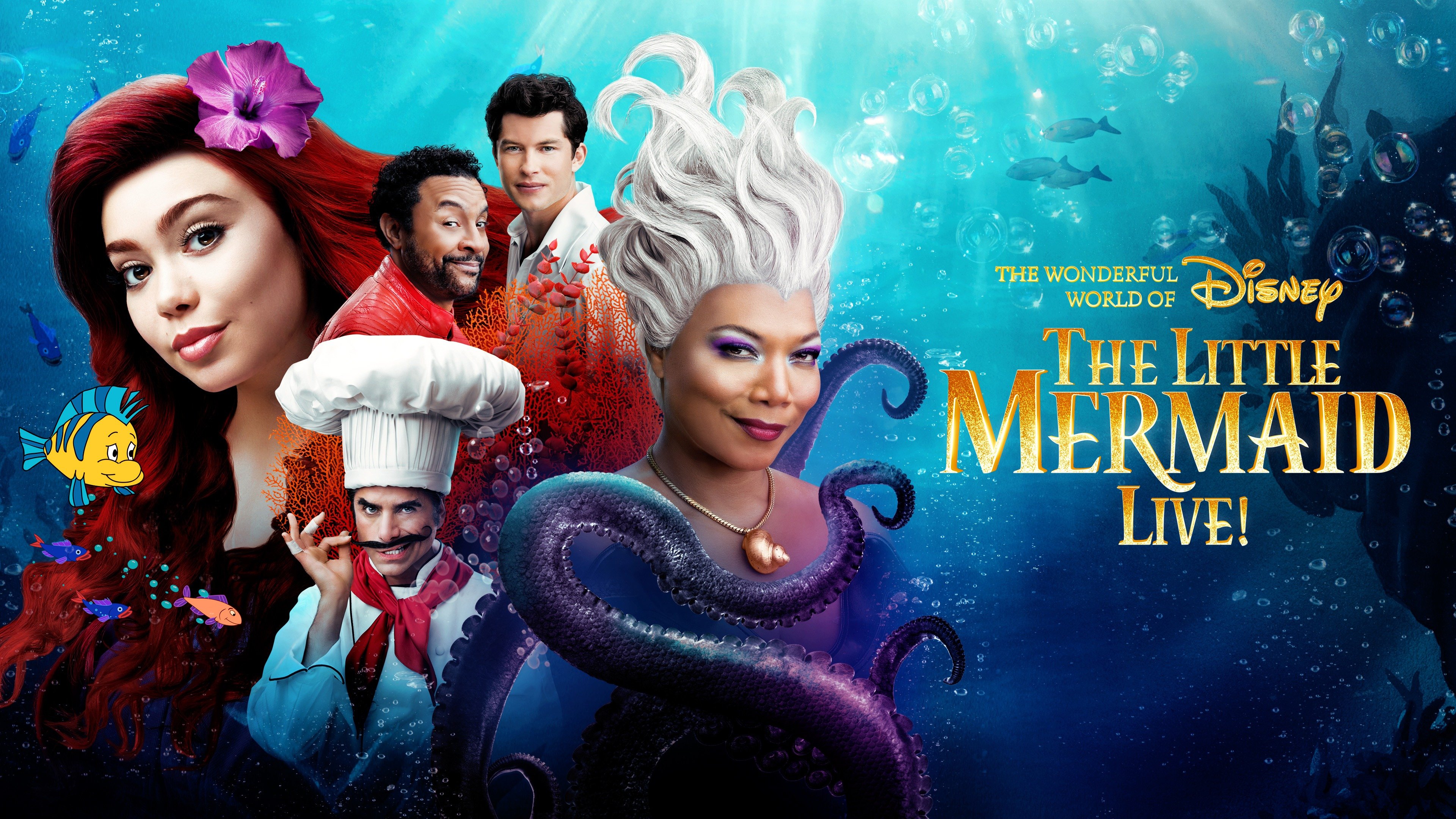 The Wonderful World Of Disney Presents The Little Mermaid Live! - ABC ...