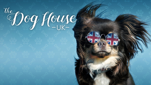 The Dog House: UK key art