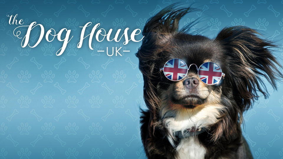 The Dog House: UK - Max