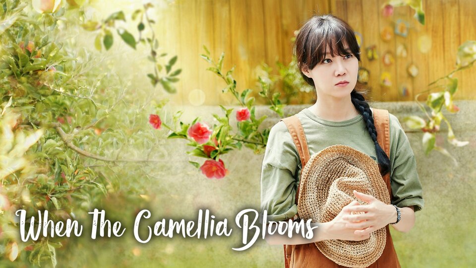 When the Camellia Blooms - Netflix