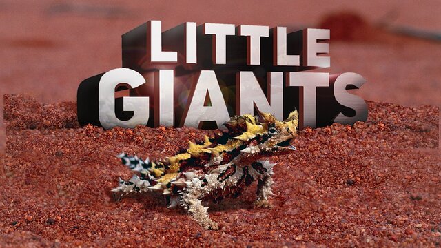 Little Giants key art