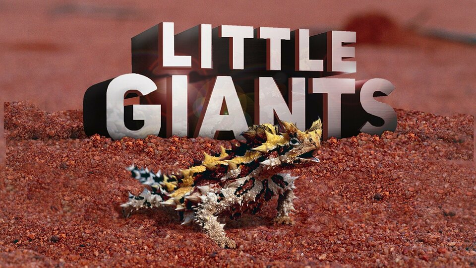 Little Giants - Animal Planet