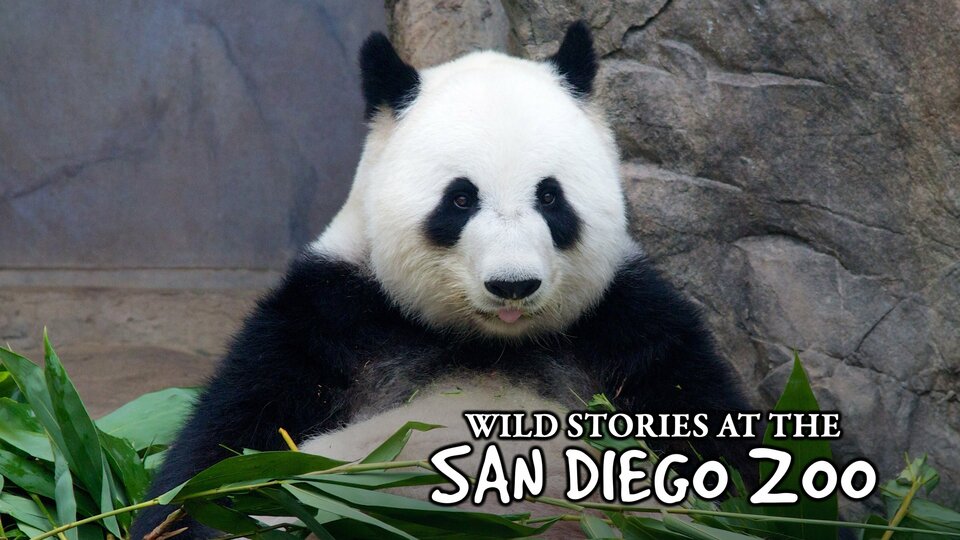 Wild Stories at the San Diego Zoo - Syndicated