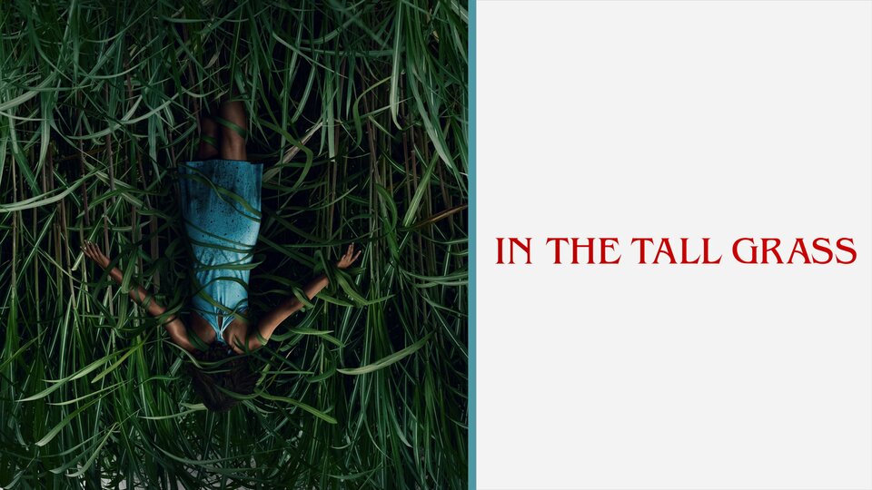 In the Tall Grass - Netflix