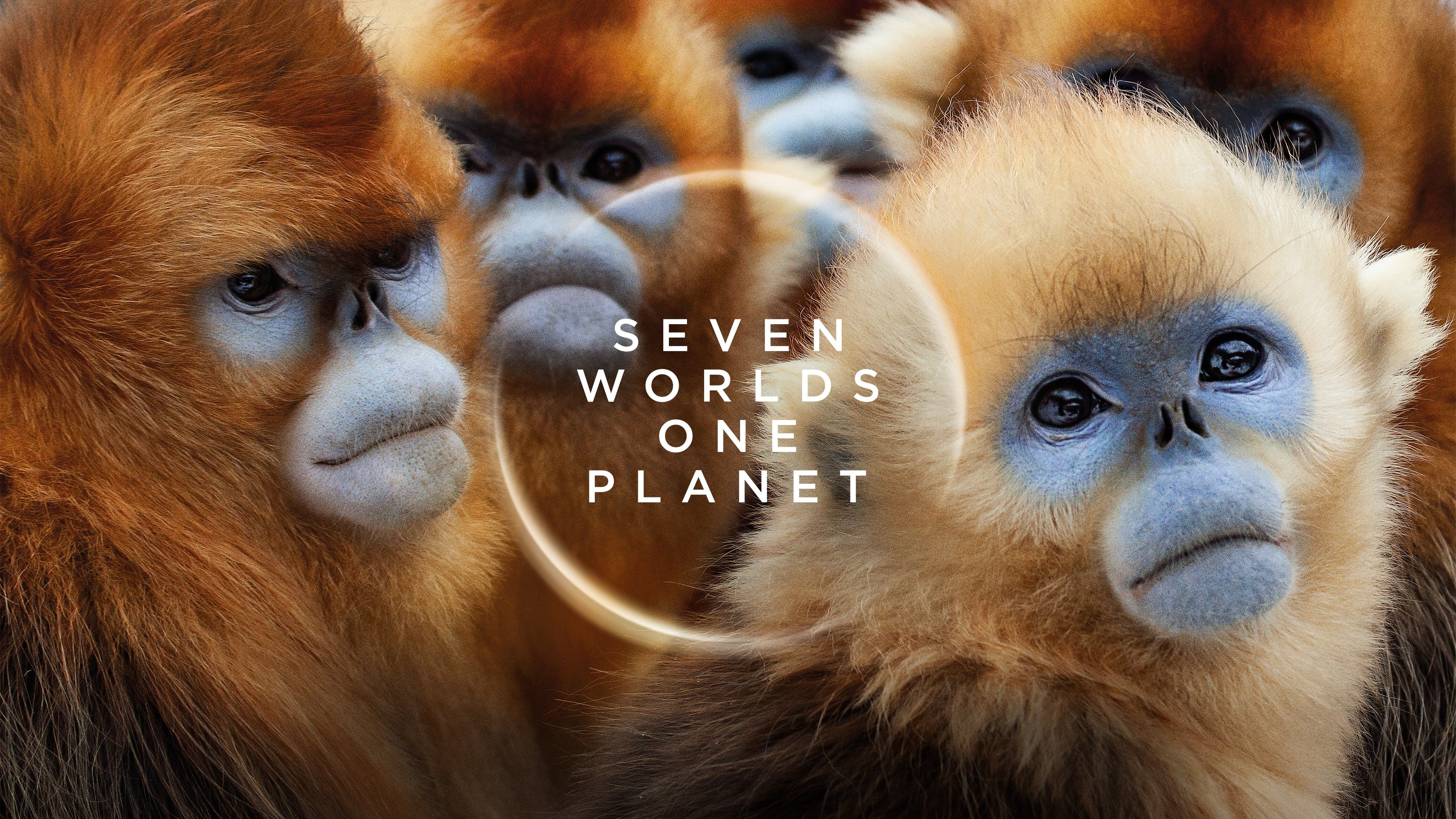 Seven Worlds, One Planet - BBC America Docuseries - Where To Watch