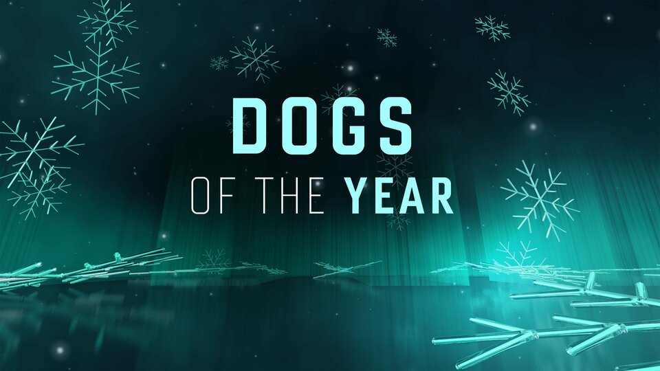 Dogs of the Year - The CW