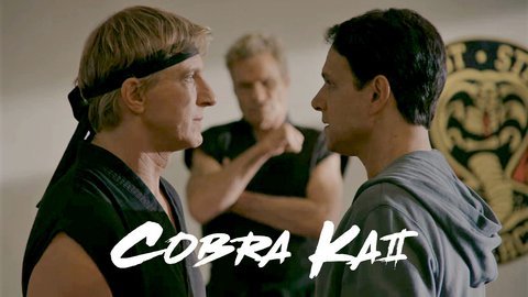 Cobra Kai - Netflix Series - Where To Watch