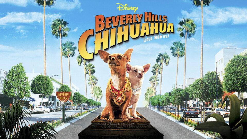 Beverly Hills Chihuahua - 