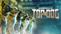 America's Top Dog - A&E