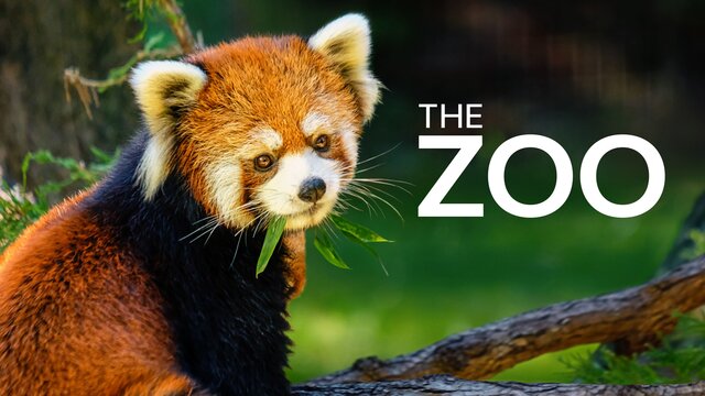 The Zoo key art