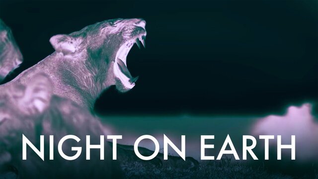 Night on Earth (2020) key art