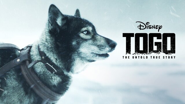 Togo key art