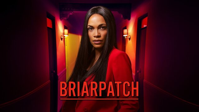 Briarpatch key art
