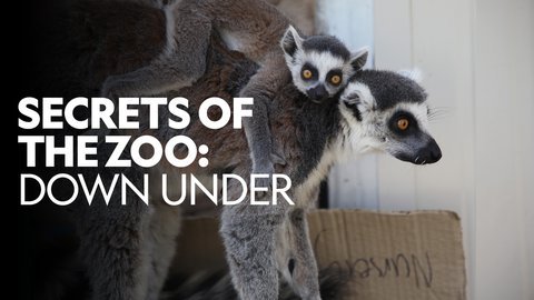 secrets of the zoo down under cast