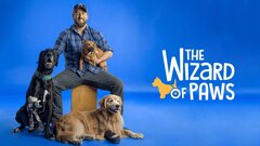 The Wizard of Paws