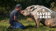 Saved By The Barn - Animal Planet
