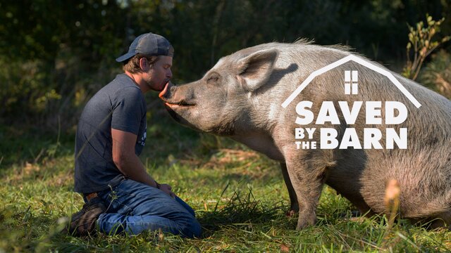 Saved By The Barn key art