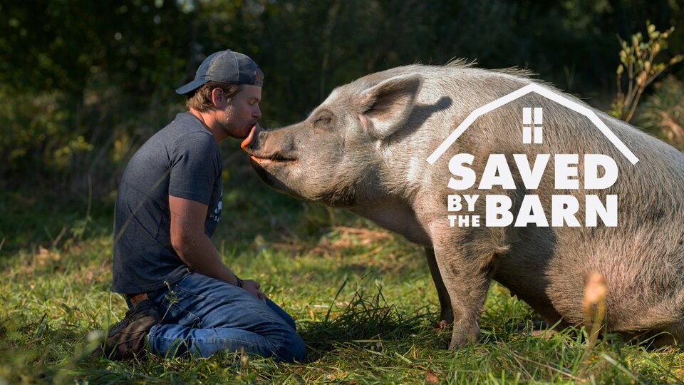 Saved By The Barn - Animal Planet