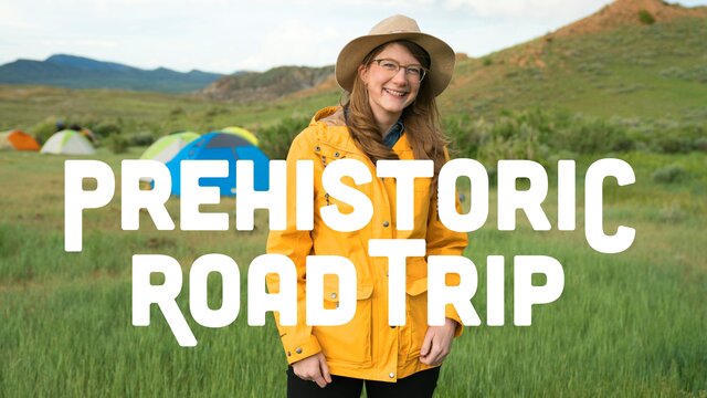 Prehistoric Road Trip key art