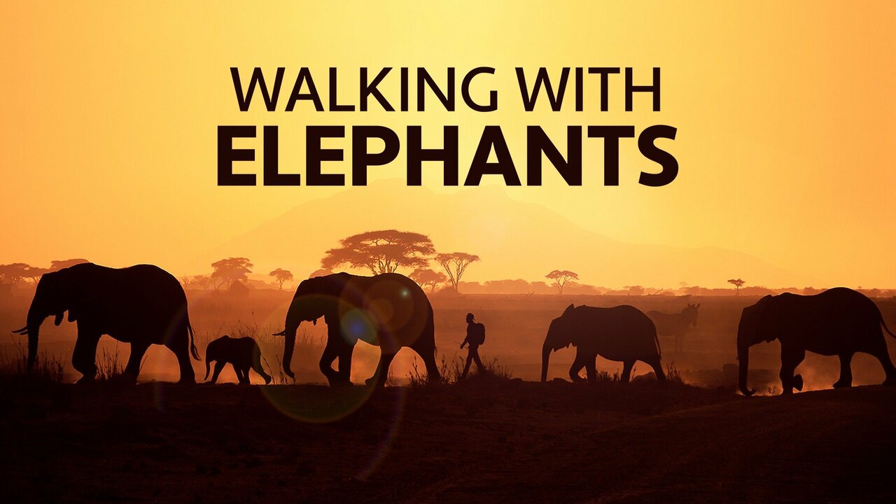 Walking With Elephants - Animal Planet Miniseries - Where To Watch Walking With Elephants - Animal Planet Miniseries - Where To Watch